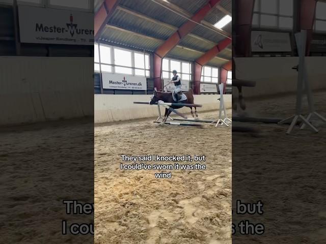 Im sure it was the wind ️ #horse #horses #pony #rider #riding #equestrian #cheval #pferde #hest