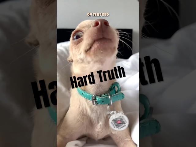 Hard Truth : VO’d with permission from ivar_ross (IG) #shorts
