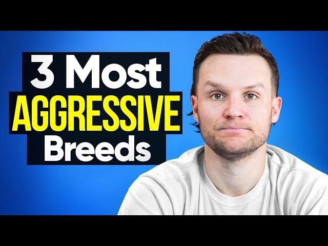 The 3 most AGGRESSIVE dogs to train as a dog trainer