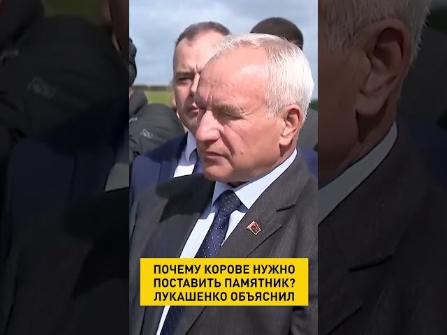 Почему корове нужно поставить памятник? Лукашенко объяснил #shorts #shorts #беларусь #лукашенко