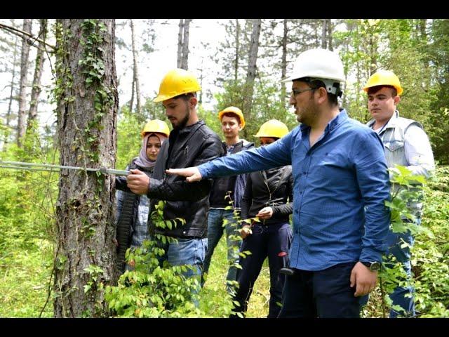 Ormancılık ve Orman Ürünleri Bölümü İş İmkanları ve Maaşları Hakkında Bilgi