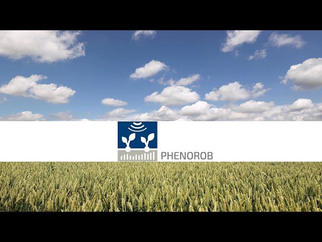 PhenoRob - Robotics and Phenotyping for Sustainable Crop Production