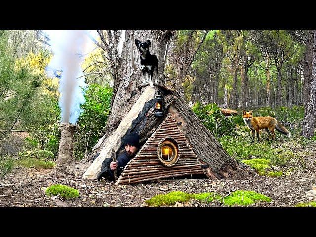 Building a Secret Shelter Inside a Big Tree for Survival | Warm stove and amazing fox