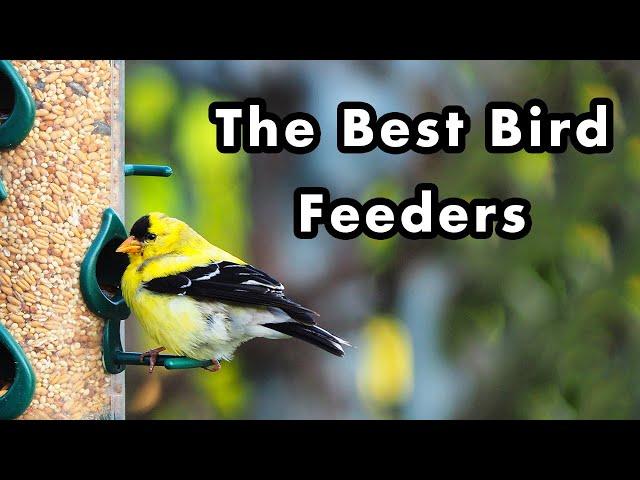 The Best Backyard Bird Feeders and Bird Food I Use To Attract Common Birds - Types Of Bird Feeders