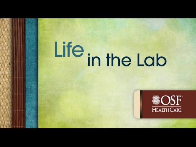 Life in the Lab | OSF HealthCare