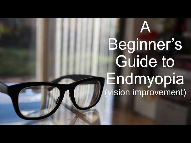 A Beginner's Guide to Endmyopia (vision improvement)