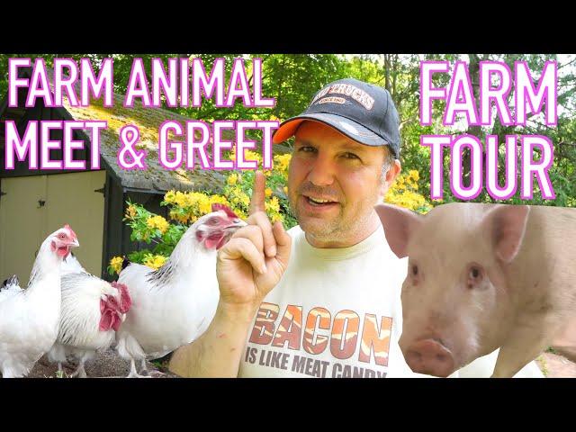 Meet Our Animals - FARM TOUR