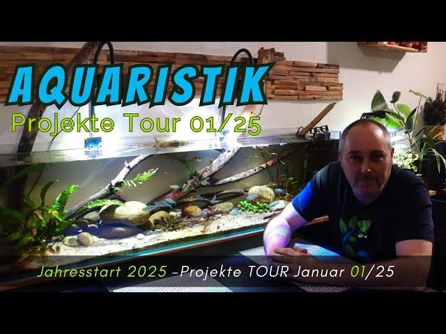 Aquaristik Jahresstart 2025:  Projekte Tour Januar 01/25