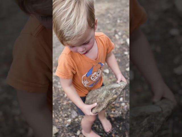 Important Mission: Finding Rocks