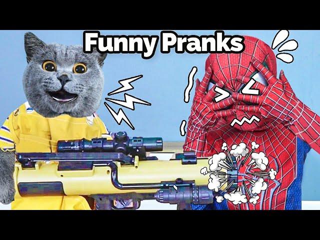 Oscar's FUNNIEST Prank Collection: Happy Weekend!| Oscar‘s Funny World | New Funny Cat Videos 2023