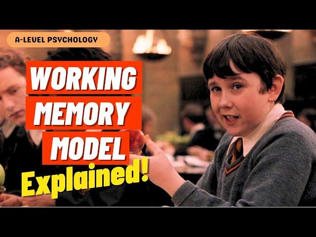 Working Memory Model EXPLAINED | AQA Psychology | A-level