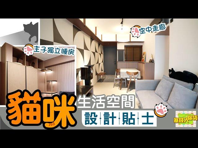 【塞錢入你袋】舊屋翻新　為主子打做專屬空間