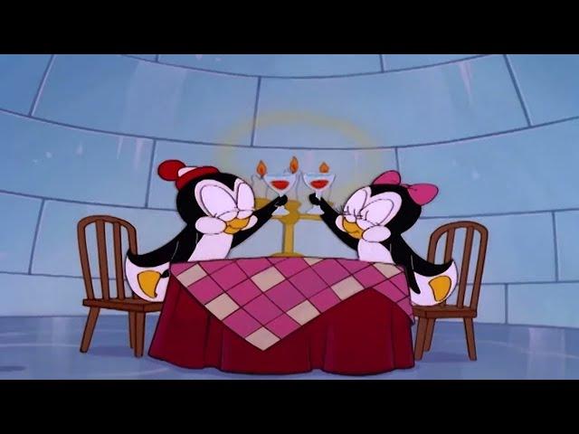 Chilly Willy Full Episodes Chilly Lilly - Chilly willy the penguin Kids Movie | Videos for K