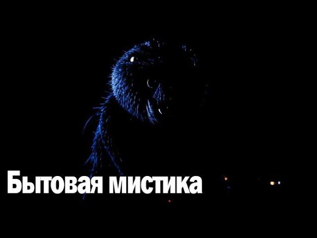 Бытовая мистика. Страшные. Мистические. Творческие истории. Хоррор