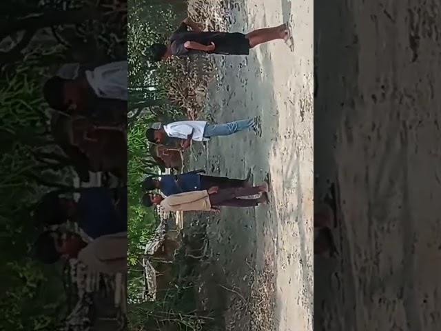 ️