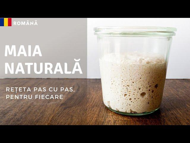 Drojdie de Casă, cum se face o Maia Naturală, Rețeta pas cu pas