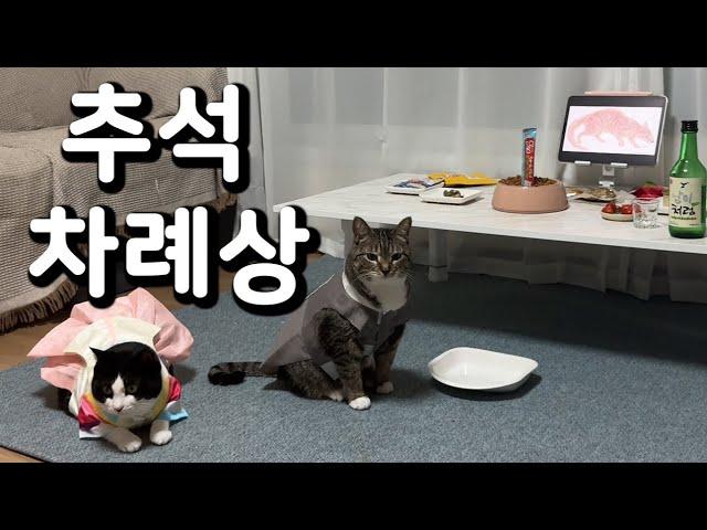 [빈봉지브이로그] 명절을 즐기다 (ft.유교묘)