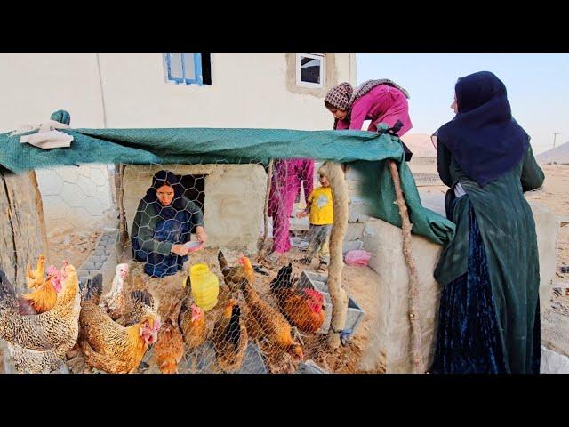 The Chicken Project : Sakineh and Her Kids' Path to Entrepreneurship