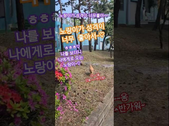 #한국힐링대학교#한국웰다잉협회#힐링강사양성국내1위#인생2막#100세현역#힐링마켓#꿈실현출판사#치매예방힐링뇌건강