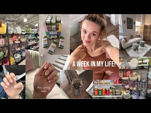 VLOG: Week In My Life!  New Puppy, Fresh Nails, Health Kick, Shopping, Etc