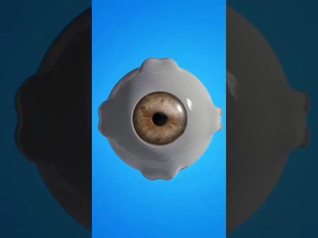 Cataract surgery Animation || Medic school ||Dr Ayesha Riaz
