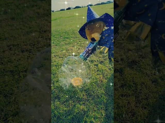 Wizard Beaver Dazzles Us With Bubble Magic!