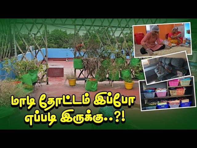 நம்ம மாடித்தோட்டம் இப்போ எப்படி இருக்கு..?! | இன்னைக்கு கடைக்கு போகல  | RK Family Vlogs