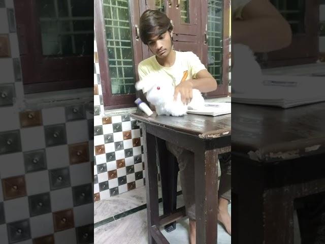 like and subscribe️ |AAMIR ANSARI | #viral #comedy #comment #shorts #share #enjoy #editing