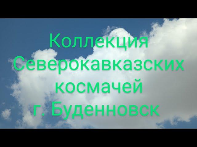 8 (928) 929-80-00 Коллекция Северокавказских голубей в г. Буденновск Андрея Николаевича Сазонова.