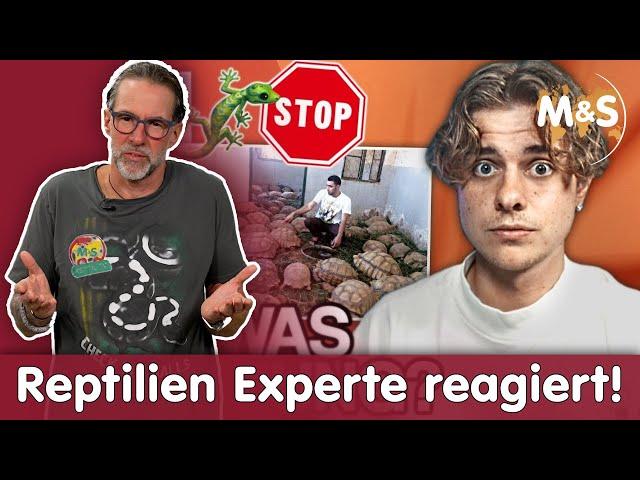 Tiere im Terrarium | IST DAS TIERQUÄLEREI? | Reptil TV REACTION