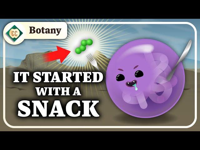 How Did Plants Evolve?: Crash Course Botany #6