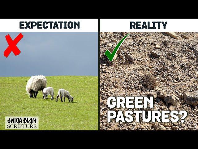 You’ll Never Read Psalm 23 the Same After Watching this Video!