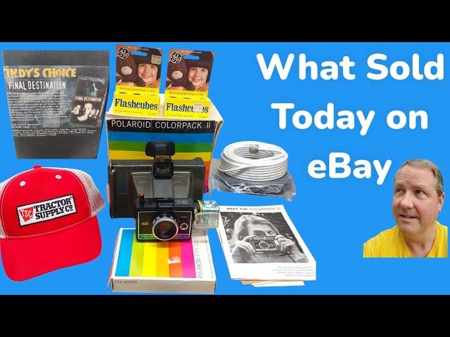 What Sold on eBay Today plus eBay for Dummies Adult Section