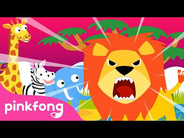 Hakuna Matata More and More | Dance Along Compilation | Let's Dance Together | Pinkfong Official