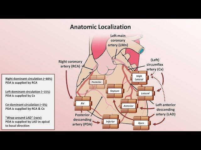 Intro to EKG Interpretation - Myocardial Infarctions (Part 1 of 2)