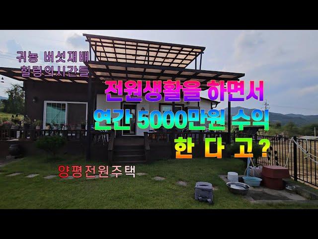 양동,전원생활즐기며 년간5000만원 수익 한다고? 양평전원주택  #양평전원주택 #수도권전원주택매매 #양평수익형주택 [매번 1양-1960]