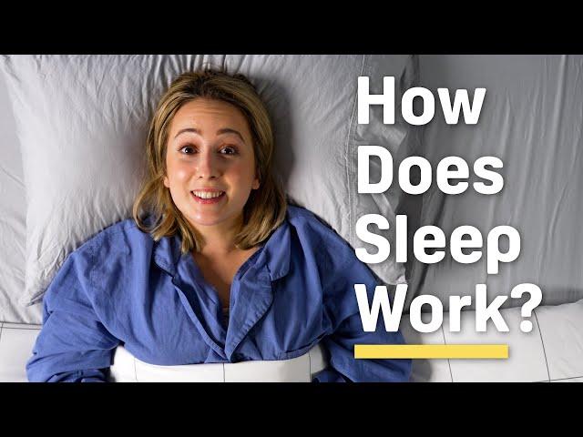 How Does Sleep Work and WHY Do We Need It?