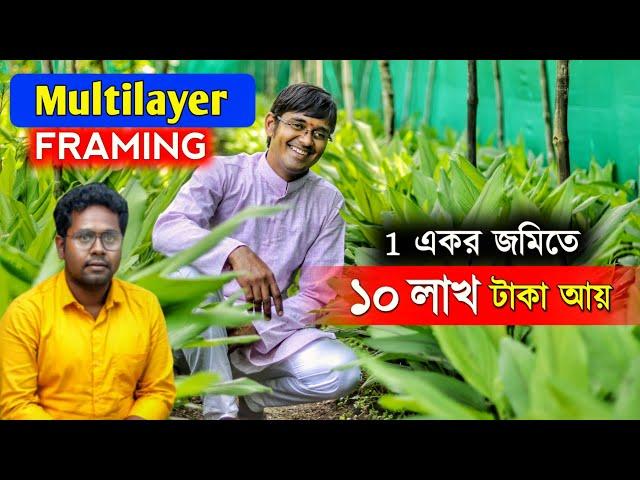 চাকরি ছেড়ে Organic Farming | 1 একরে বছরে আয় 10 লাখ || Multilayer farming @akashchourasiyamultilayer