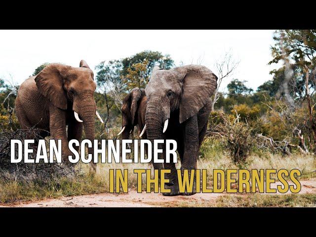 The fascinating Wilderness -Dean Schneider