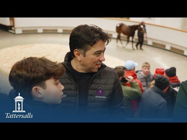 Tattersalls December Foal Sale Day 3 Review 2024