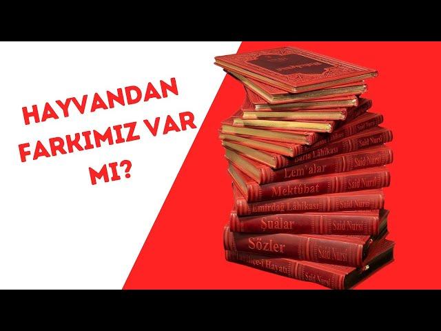 Hayvandan Farkımız Var Mı ? |Takdim Münir Türen