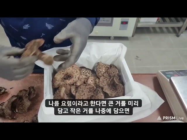 능이버섯포장