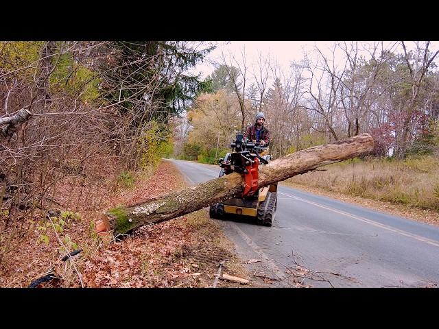 Salvaging and Sawing a Cherry Tree Topped by the Power Company