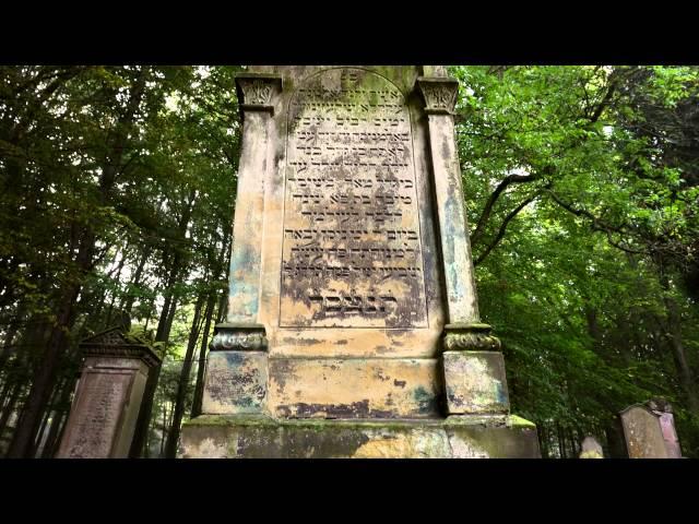 Lost Place Forgotten Jewish Cemetery Bleicherode Germany Vergessener Jüdischer Friedhof im Wald