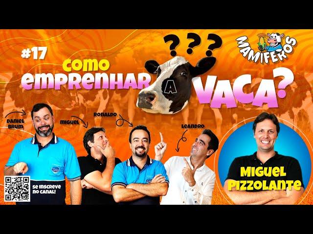 COMO EMPRENHAR SUA VACA? | Mamíferos Podcast #17