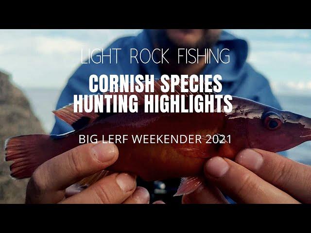 Light Rock Fishing - Cornish Species Hunting Highlights - Big Lerf Weekender 2021