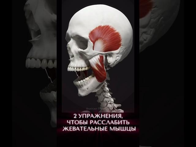 2 упражнения, чтобы расслабить жевательные мышцы