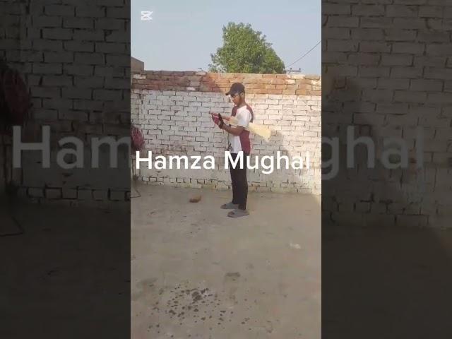 hamza mughal batting 