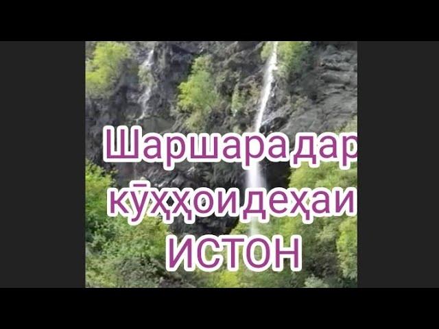 шаршара дар кӯҳои деҳаи ИСТОН