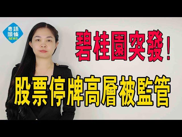 突發！財報難產、股票停牌，碧桂園董事長楊惠妍、總裁莫斌被監管，碧桂園路在何方？#碧桂園#財報 #別墅 #地產 #資本市場 #股票 #停牌